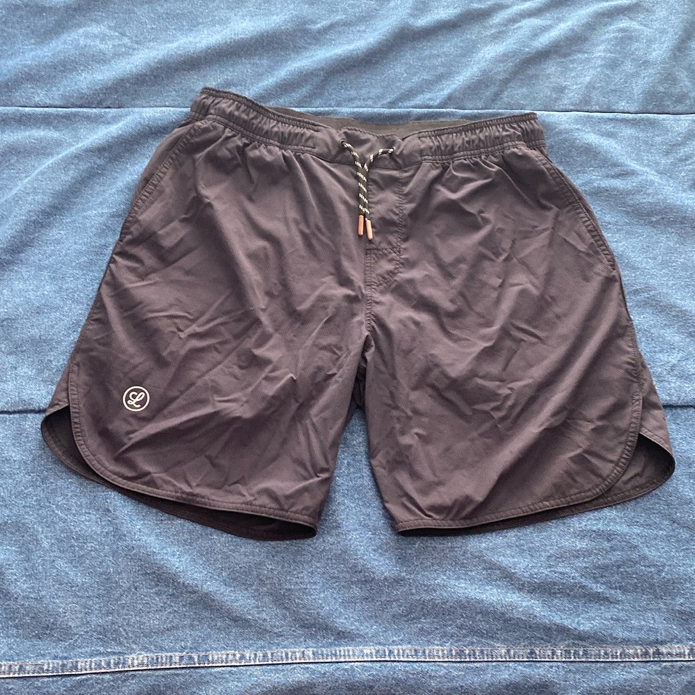 Fabletics Shorts - image 1